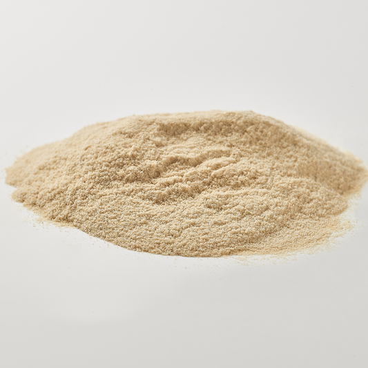 Chitosan Powder