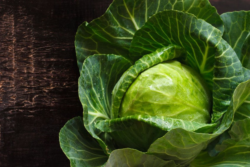 Lifting the Lid on Fad Diets: The Cabbage Soup Diet