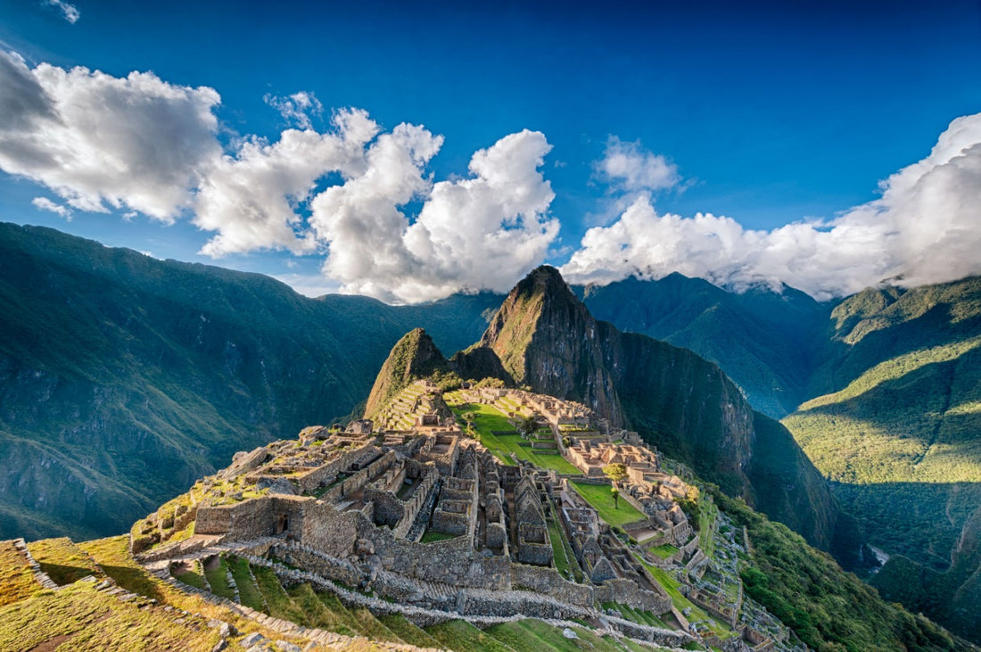 Peruvian Maca, The Nutritional Powerhouse