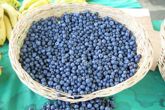 The Acai Berry, What Can It Do For You?