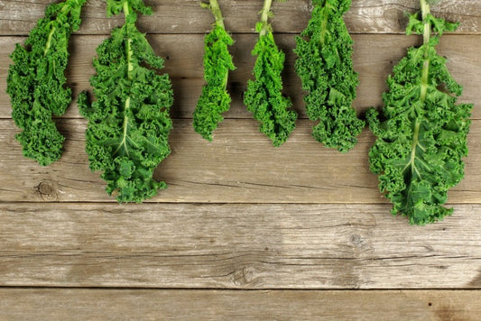 The Mystery of Vitamin K and its MKs