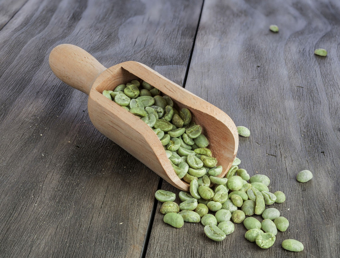 Green Coffee Bean: Wave goodbye to the nation's favourite brown beverage, because it’s going green!
