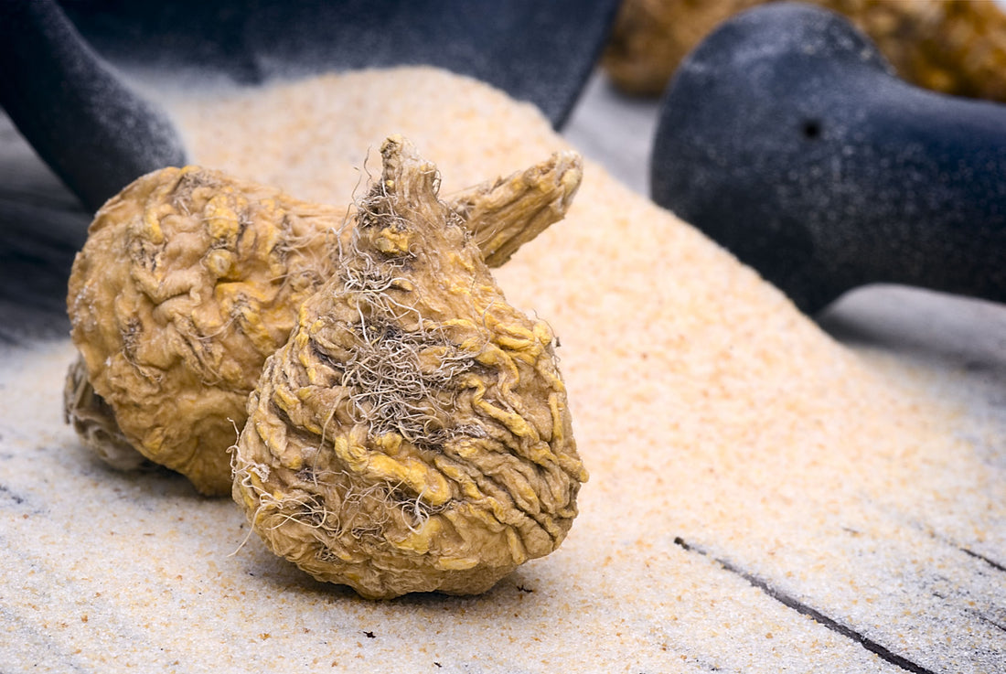 Maca And Your Sexual Health