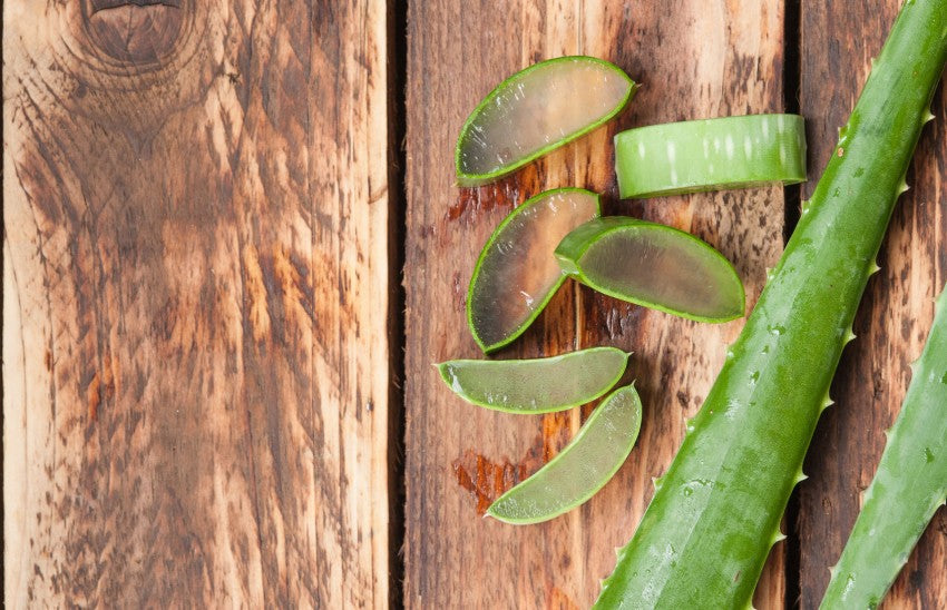 Want Nature's Best Cure-all ? Try Aloe Vera!