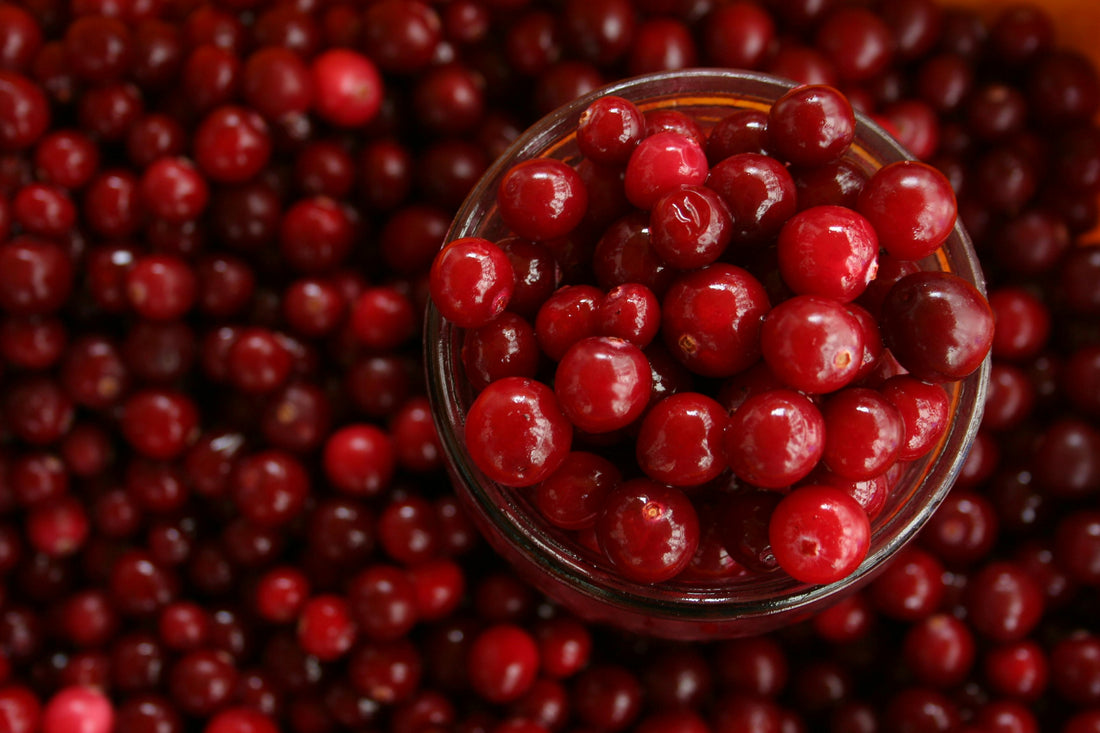 Fresh Cranberry Fruit Bowl 