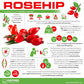 Rosehip Extract 4,900mg  - 270 Tablets